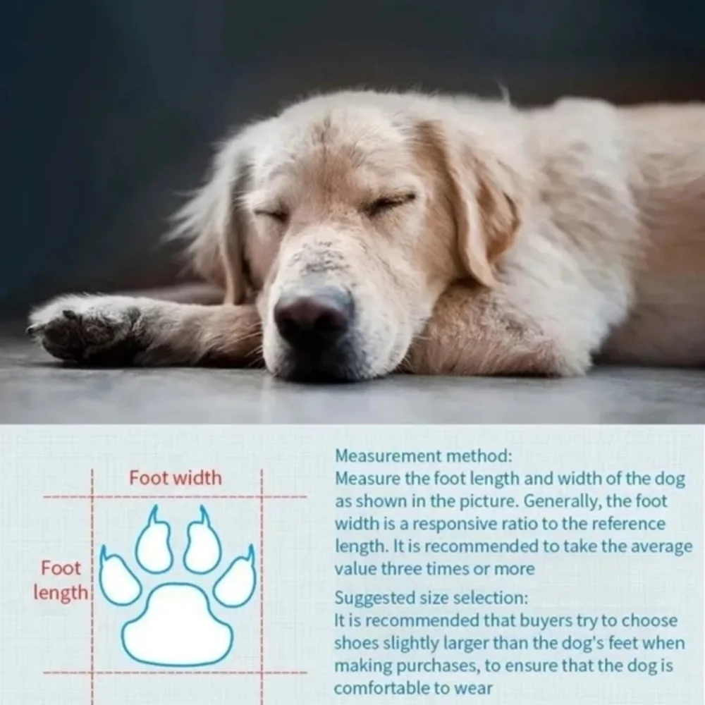 4PCS Paw Protectors Waterproof Anti-Slip Dog Boots Blue and‎ Silver Large